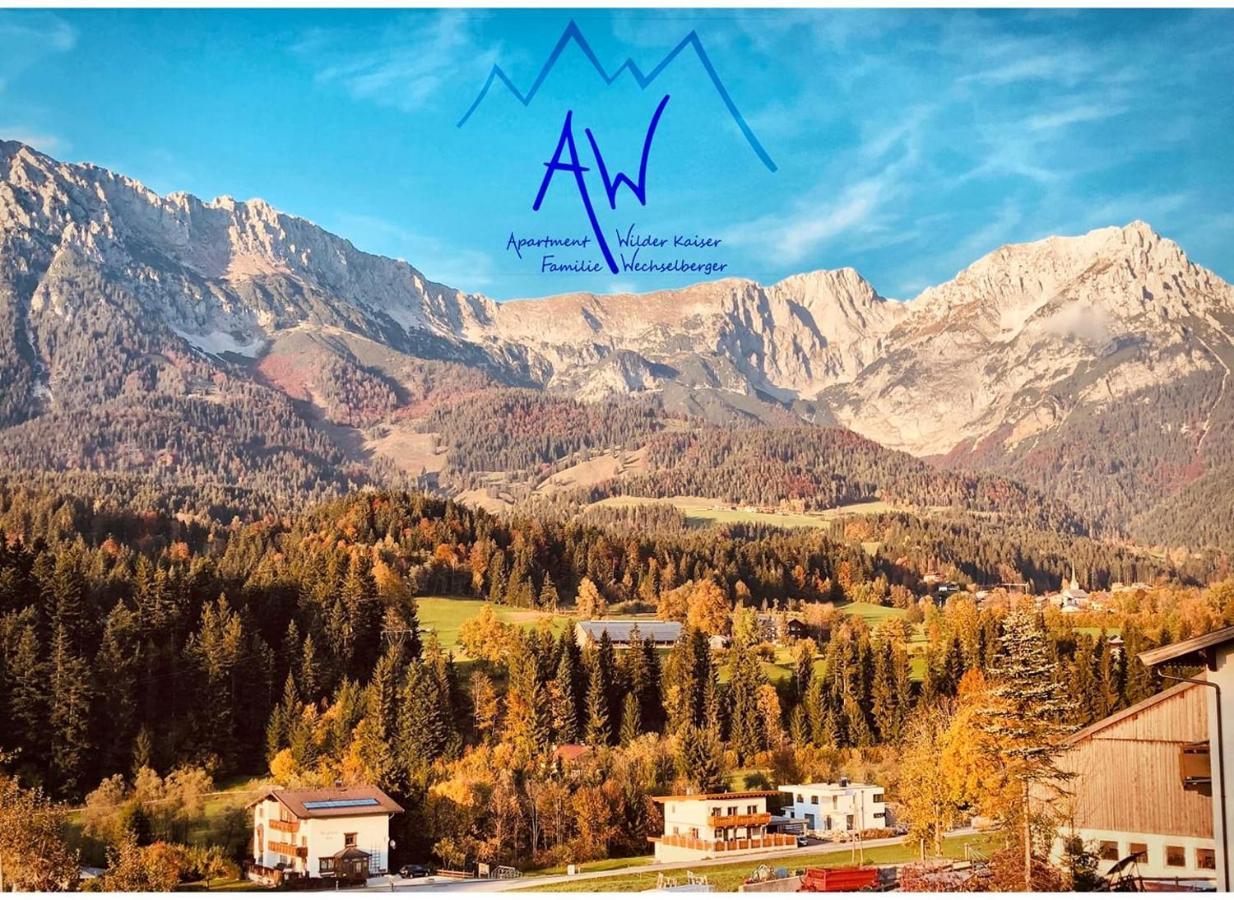 Aw - Apartment Wilder Kaiser Scheffau am Wilden Kaiser Ngoại thất bức ảnh